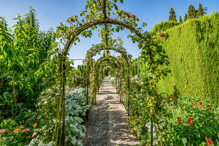 Granada: Alhambra Gardens and Generalife Ticket - Palace of Charles V: The Contrasting Centerpiece