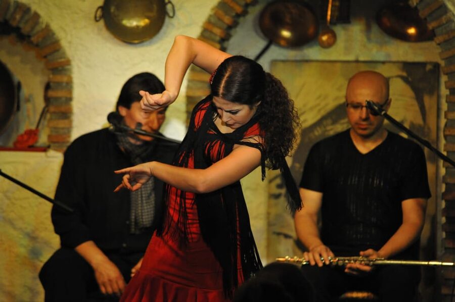 Granada: Alhambra Guided Tour and Flamenco Show - Alhambra quick entry: what skip-the-line really buys you