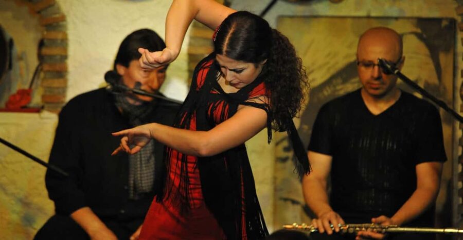 Granada: Alhambra Guided Tour and Flamenco Show - Transportation and meet points: the part to plan twice