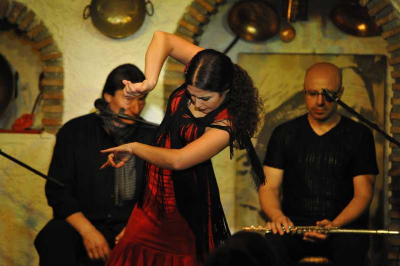 Granada: Alhambra Guided Tour and Flamenco Show - Who this tour suits best