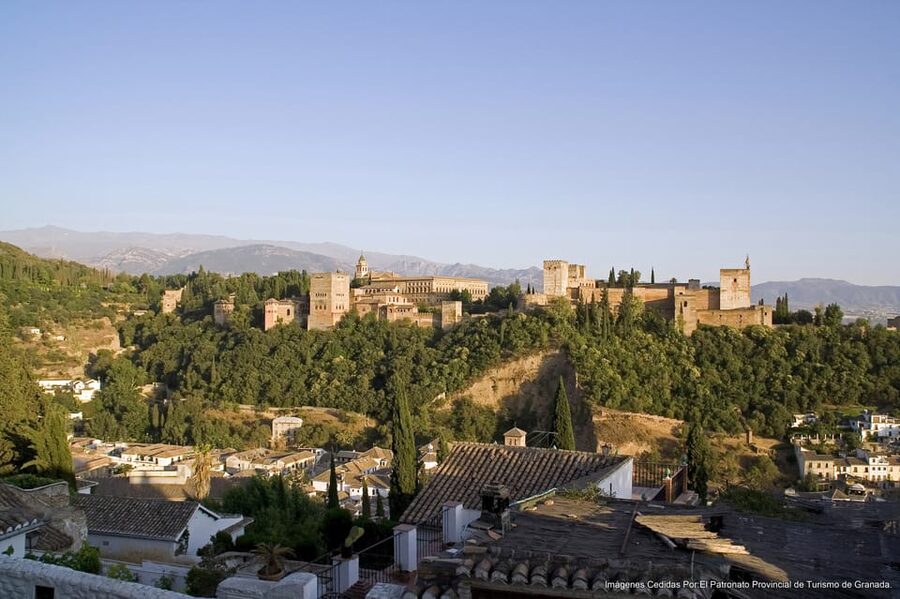 Granada: Alhambra Guided Tour and Flamenco Show - Nasrid Palaces and Generalife Gardens: the two targets worth prioritizing