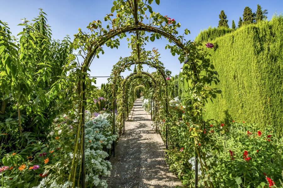 Granada: Alhambra, Nasrid, and Generalife Private Tour - Price and value: what you are really paying for