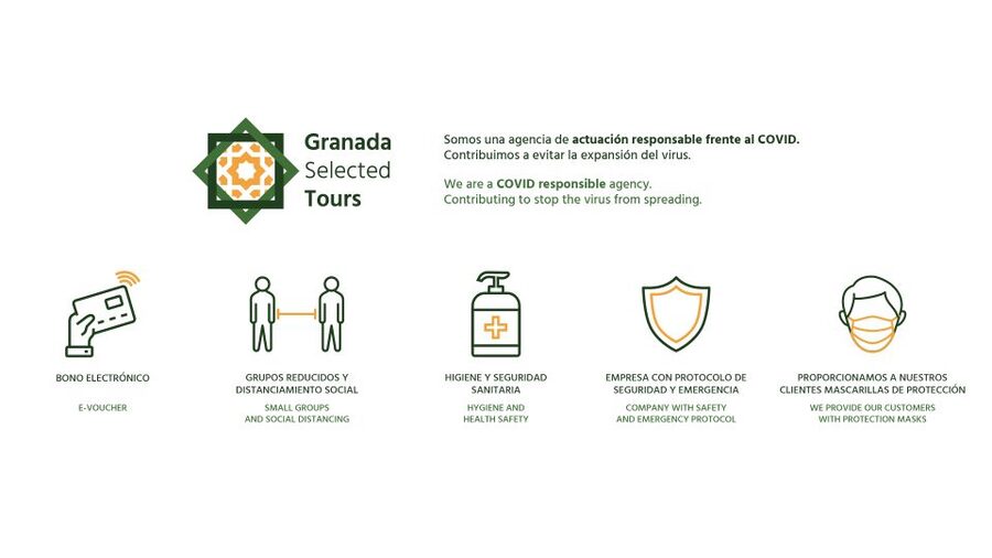 Granada: Fast-Track Alhambra & Nasrid Palaces Guided Tour - Fast-Track Entry: Saving Your Best Alhambra Hours