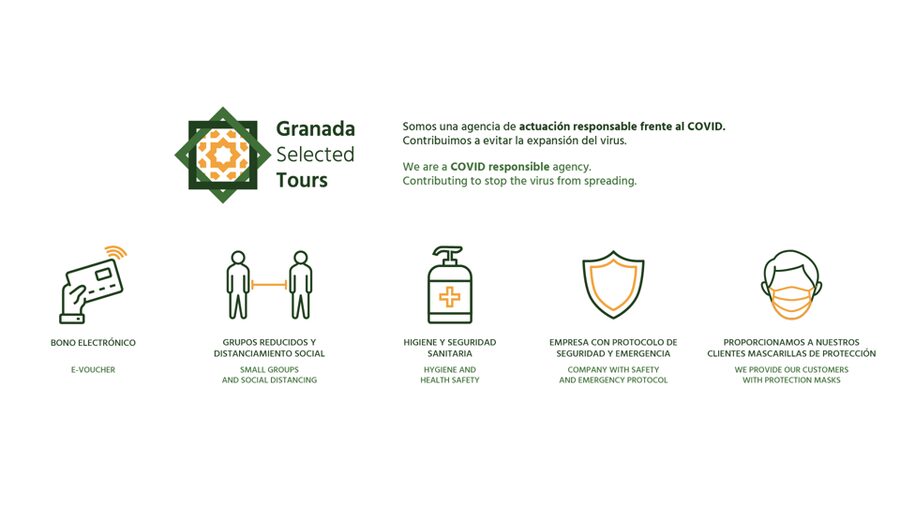 Granada: Fast-Track Alhambra & Nasrid Palaces Guided Tour - Nasrid Palaces Focus: Courtyard of the Lions and More
