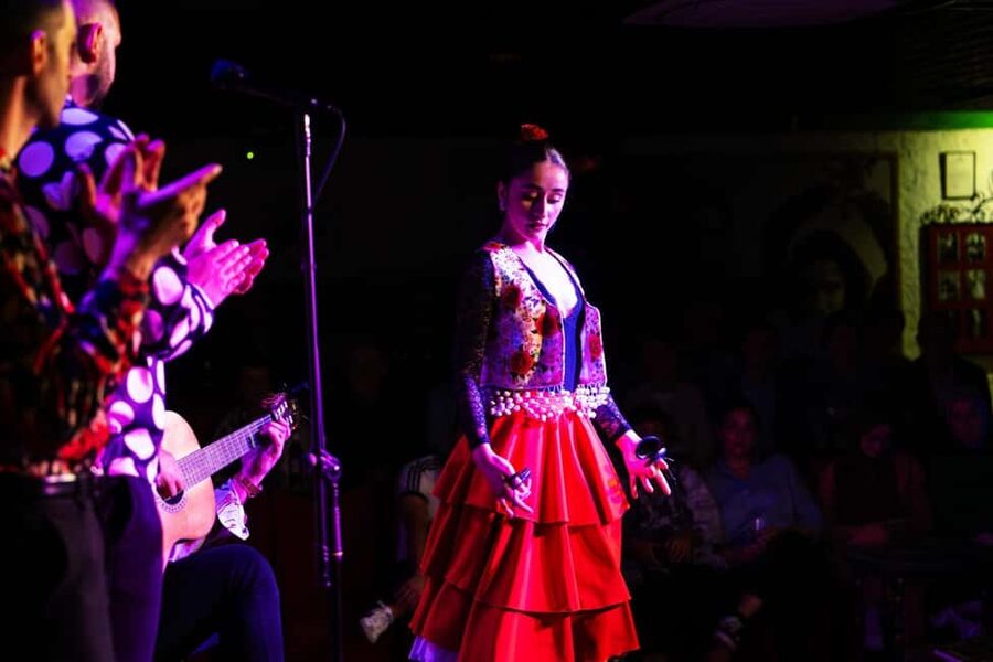 Granada: Flamenco Show at Tablao Flamenco Albayzín - Who Should Book Tablao Flamenco Albayzín