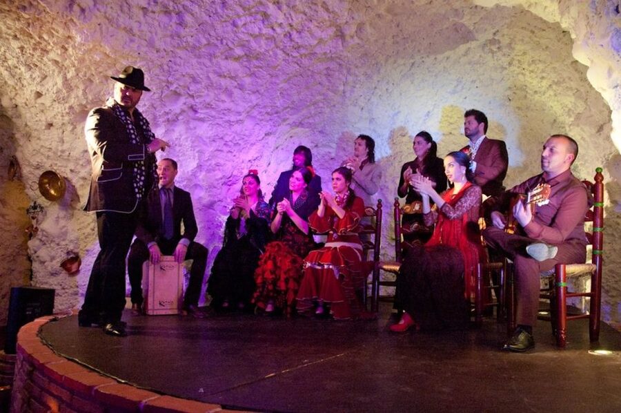 Granada: Flamenco Show at Templo del Flamenco with Drink - What You’re Actually Watching: Reina Sofía Performers and the Band