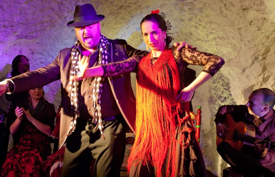 Granada: Flamenco Show at Templo del Flamenco with Drink - Who Should Book This Flamenco Night?