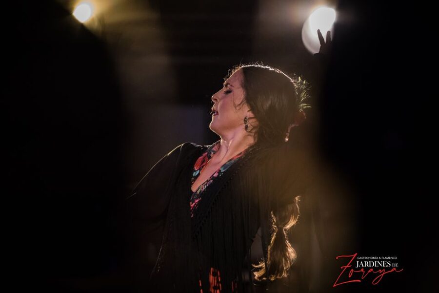 Granada: Flamenco Show in Albaycin - Jardines de Zoraya - Granada Flamenco at Jardines de Zoraya, Why This Setting Matters