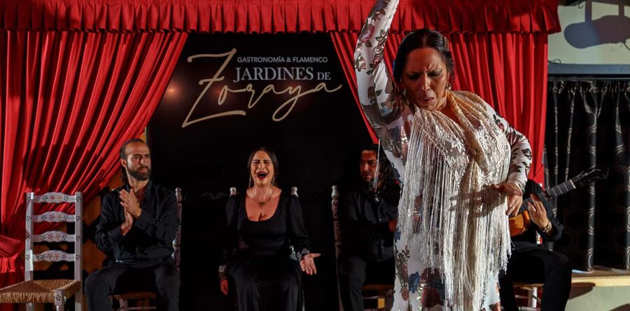 Granada: Flamenco Show in Albaycin - Jardines de Zoraya - How Much It Costs and Why It’s Good Value