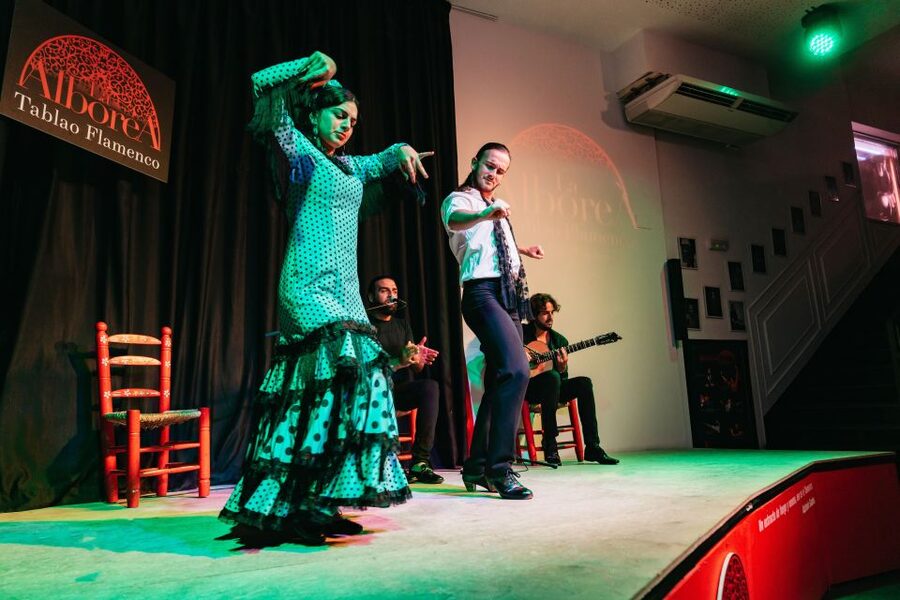Granada: Flamenco Show in La Alboreá - The Performers and Music: Where the Real Magic Happens