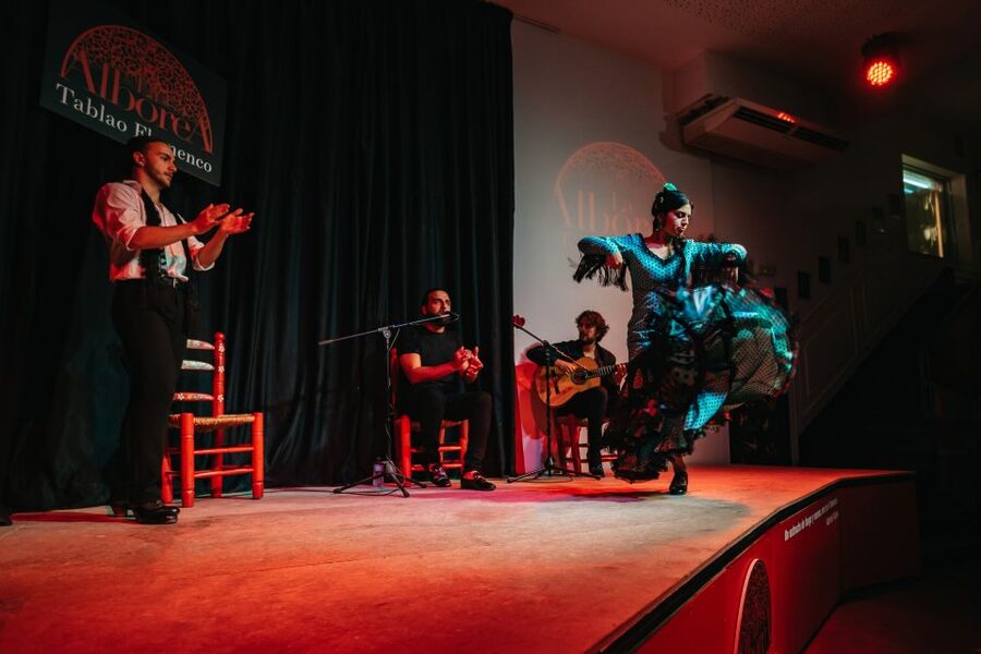 Granada: Flamenco Show in La Alboreá - Wine and Iberian Snacks Option: Turning the Evening Into a Simple Plan
