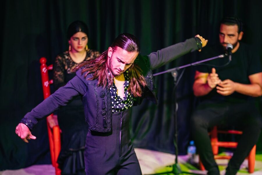 Granada: Flamenco Show in La Alboreá - Price and Value: Why This Costs About $21 and What You Get for It