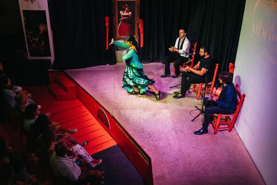 Granada: Flamenco Show in La Alboreá - Who This Flamenco Show Is Best For