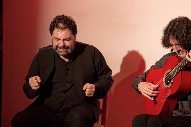 Granada Flamenco & Tapas Tour - Who This Tour Suits Best in Granada