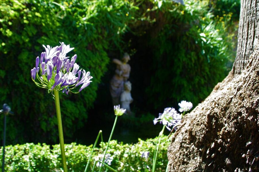 Granada: Gardens of Carmenes Guided Tour - Meeting point and the stair reality in Albaicín