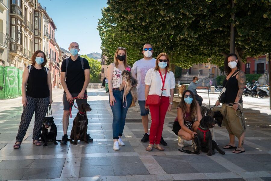 Granada: Guided Albaicín Visit with Pets - Key highlights you will feel right away