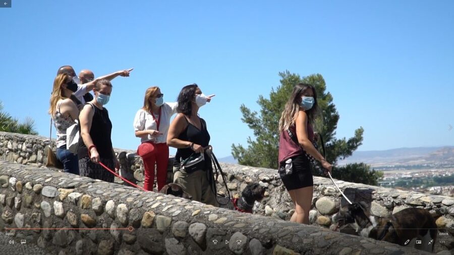 Granada: Guided Albaicín Visit with Pets - Plaza Larga: where the walk turns into neighborhood knowledge