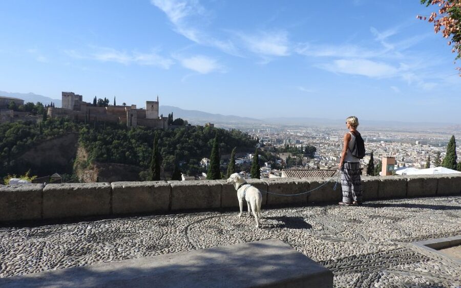 Granada: Guided Albaicín Visit with Pets - Price and value: why $34 feels fair for a guided Albaicín loop