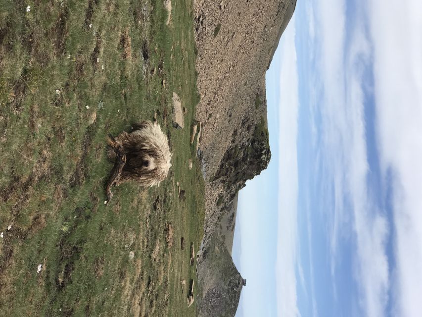 Granada: High Sierra Nevada Hiking Tour to 3000 Meters - Should You Book This Granada to 3,000m Hike?