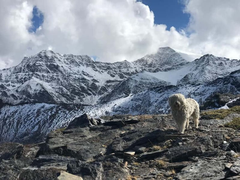 Granada: High Sierra Nevada Hiking Tour to 3000 Meters - What the “Moderate Hike” Means in Real Life