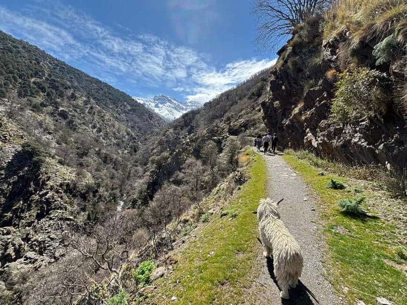 Granada: High Sierra Nevada Hiking Tour to 3000 Meters - From San Juan Glacier Valley to Waterfalls and Wildlife