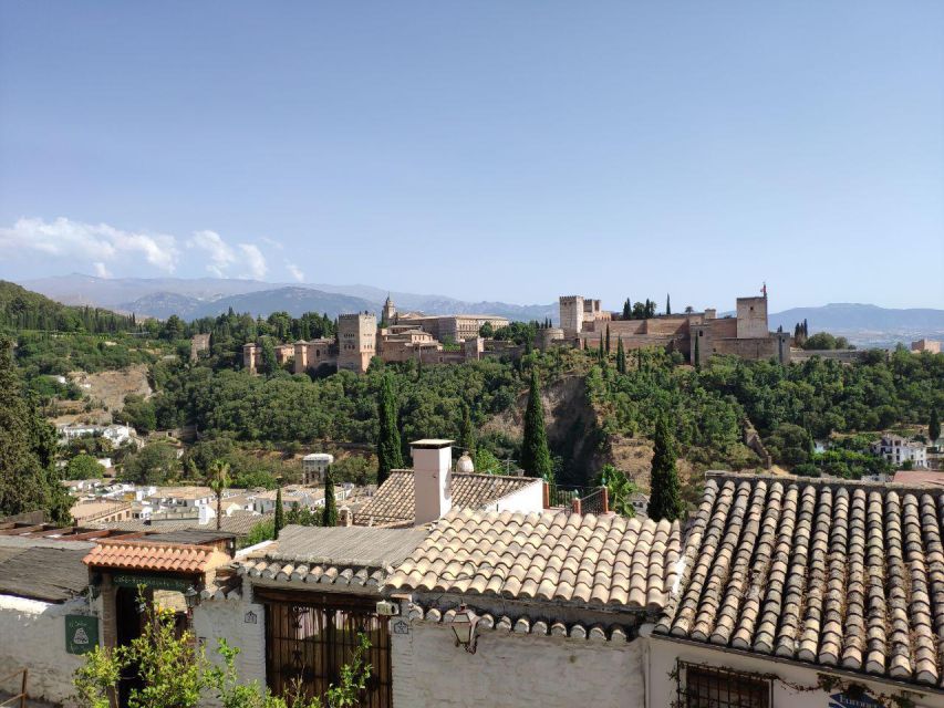 Granada: Historical City Center Guided Segway Tour - What the $81 price buys you, and what it does not