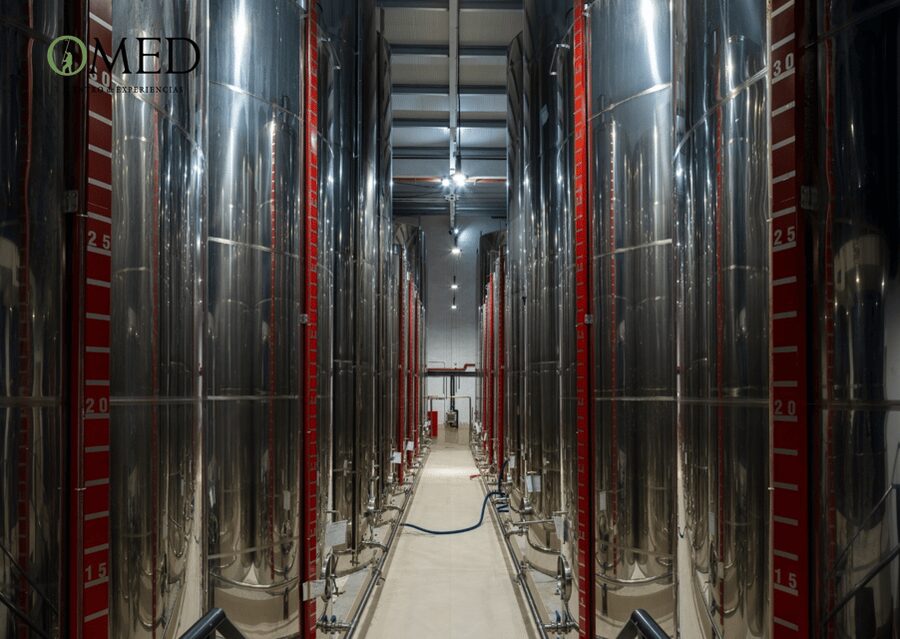 Granada in EVOO: Guided tour and unique sensorial tasting - My Booking Recommendation: Should You Sign Up?