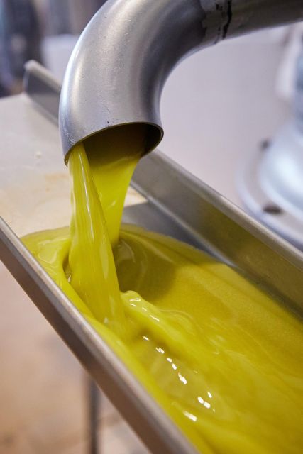 Granada in EVOO: Guided tour and unique sensorial tasting - Price and Value: Is $35 Worth It?