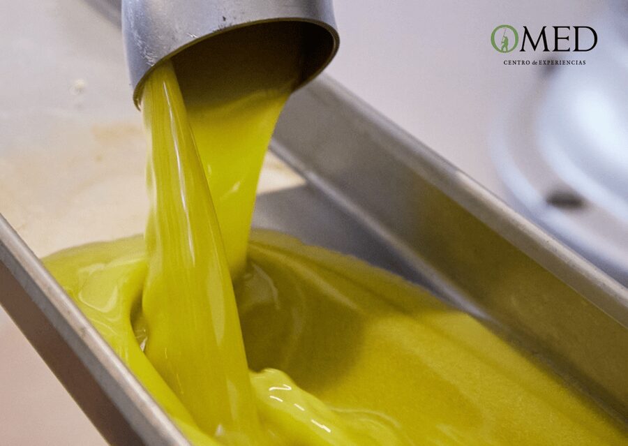 Granada in EVOO: Olive grove guided tour and sensory tasting - Inside the OMED olive mill, from olives to storage and packaging