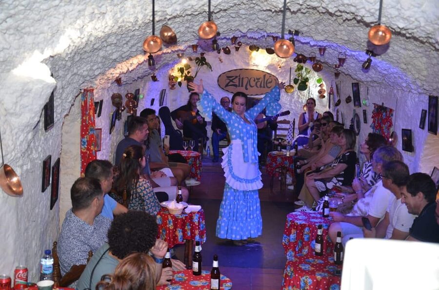 Granada: Live Flamenco Show - Who should book this flamenco show at Cueva Zincalé