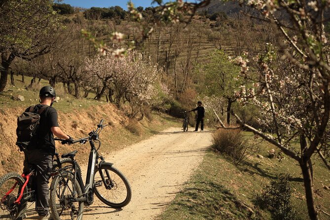 Granada: Nature, Wildlife and Authentic Villages E-bike Tour - Guejar Sierra village pass: where the countryside feels real