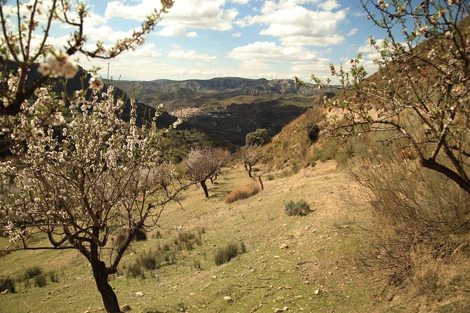 Granada: Nature, Wildlife and Authentic Villages E-bike Tour - E-bike riding etiquette: how to get the most from the electric assist