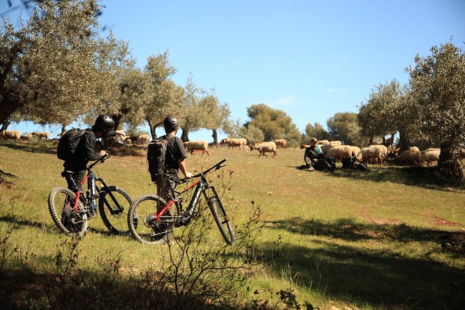Granada: Nature, Wildlife and Authentic Villages E-bike Tour - Tourbike.es meeting point, start time, and the small-group vibe