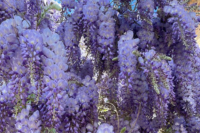 Granada : Private Alhambra Tour + Nazaries Palaces (VIP) - Stop 1: Generalife gardens for a gentle warm-up