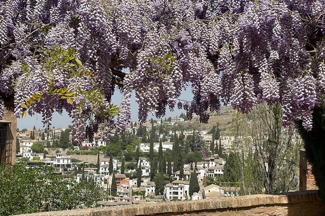 Granada : Private Alhambra Tour + Nazaries Palaces (VIP) - Stop 2: Nasrid Palaces, where calligraphy and architecture do the talking