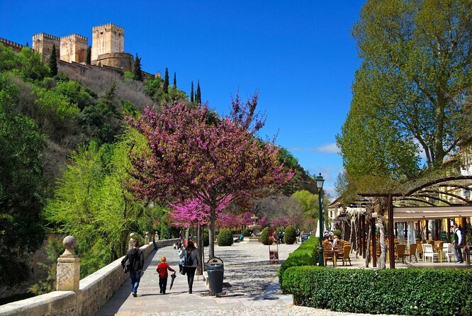 Granada Private Segway Tour - Key moments you should know