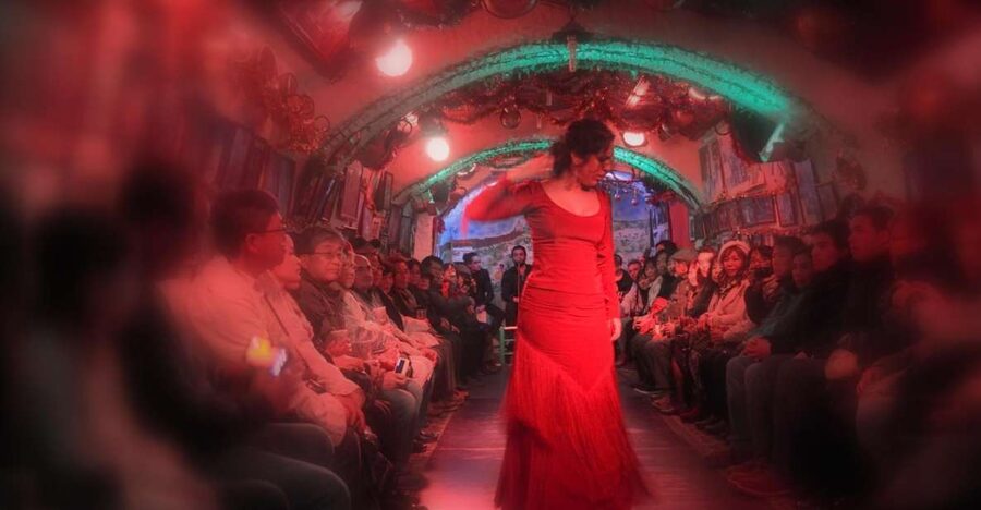 Granada: Sacromonte Caves Flamenco Show - Key highlights you should care about