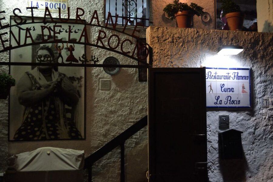 Granada: Sacromonte Caves Flamenco Show - The guide and language support: Spanish, English, French