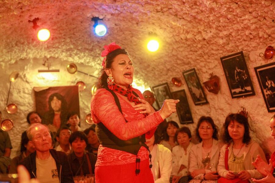 Granada: Sacromonte Caves Flamenco Show with Dinner - Who This Is Best For in Granada