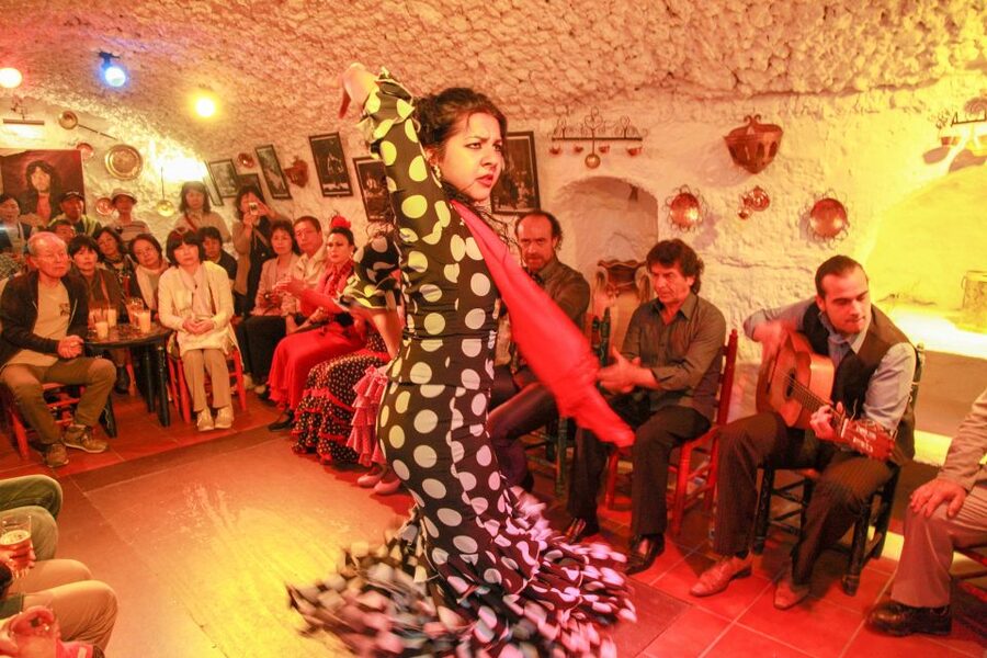 Granada: Sacromonte Caves Flamenco Show with Dinner - The Flamenco Show Up Close: Singers, Dancers, Guitar