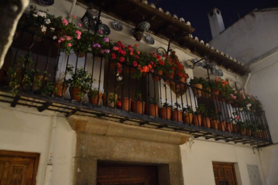Granada: Sacromonte Caves Flamenco Show - A cocktail during the show, and why it helps