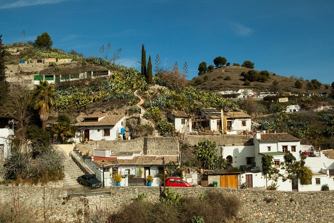 Granada: Sacromonte Private Tour - Who This Tour Is Best For (And Who Might Want Another Option)