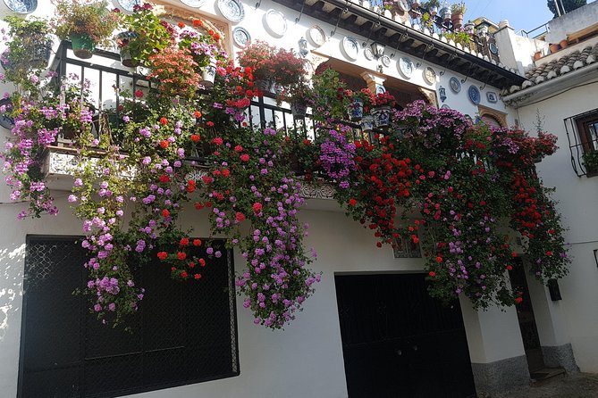 Granada Segway Tour to Albaicin and Sacromonte - The Real Secret Sauce: Guide Care and Safety for a Mixed Group