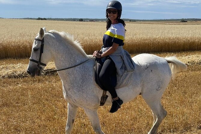 Granada & Sierra Nevada Horse Riding Tour - What the 2-hour experience really looks like