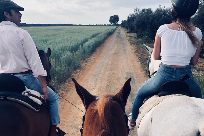 Granada & Sierra Nevada Horse Riding Tour - Stop 1: Sierra Nevada foothills and a family-run ranch
