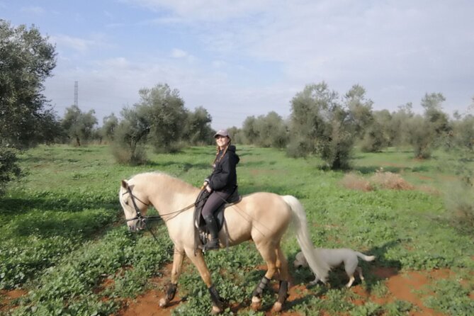 Granada & Sierra Nevada Horse Riding Tour - Price and value: is $150.51 a fair deal?