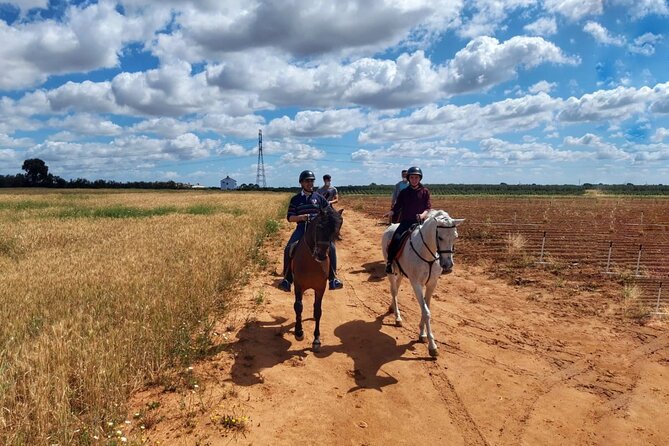 Granada & Sierra Nevada Horse Riding Tour - Who this tour suits best