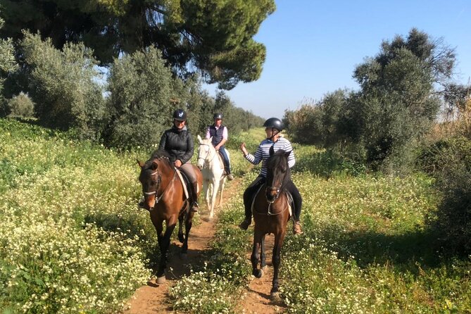 Granada & Sierra Nevada Horse Riding Tour - What to wear and what to expect from the ride