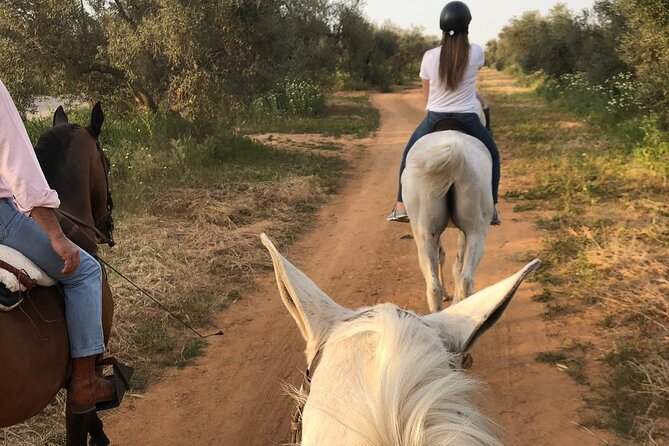 Granada & Sierra Nevada Horse Riding Tour - How pickup, transfers, and timing affect your day
