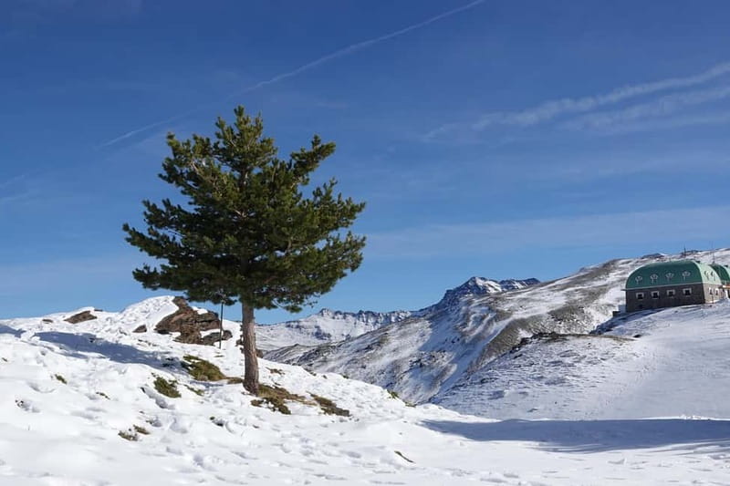 Granada: Sierra Nevada Safari Tour to 2500 m with a Drink - Mulhacen and the Geology Lesson You Can Actually See
